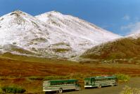 Buses at Eielson Visitor Center