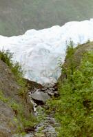 Exit Glacier