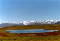 Along Denali Highway