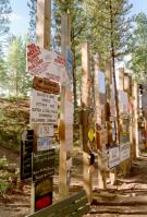 Watson Lake Sign Forest with our sign