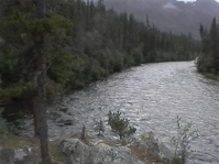 Wilderness hike near Dease Lake