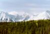 Auriol Trail, Kluane N.P.