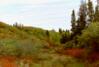 Auriol Trail, Kluane N.P.