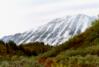 Auriol Trail, Kluane N.P.