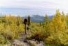 Auriol Trail, Kluane N.P.