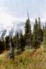 Auriol Trail, Kluane N.P.