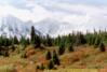 Auriol Trail, Kluane N.P.