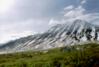 Auriol Trail, Kluane N.P.