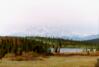 Denali Highway