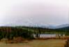 Denali Highway