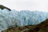 Exit Glacier