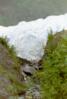 Exit Glacier