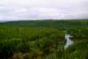 Canyon near Whitehorse