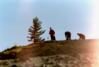 Michele, Sebastian and Trevor on Midnight Dome