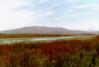 Hike at Tangle Lakes